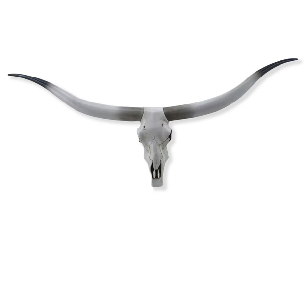 White Longhorn Cow Skull - Wall Art