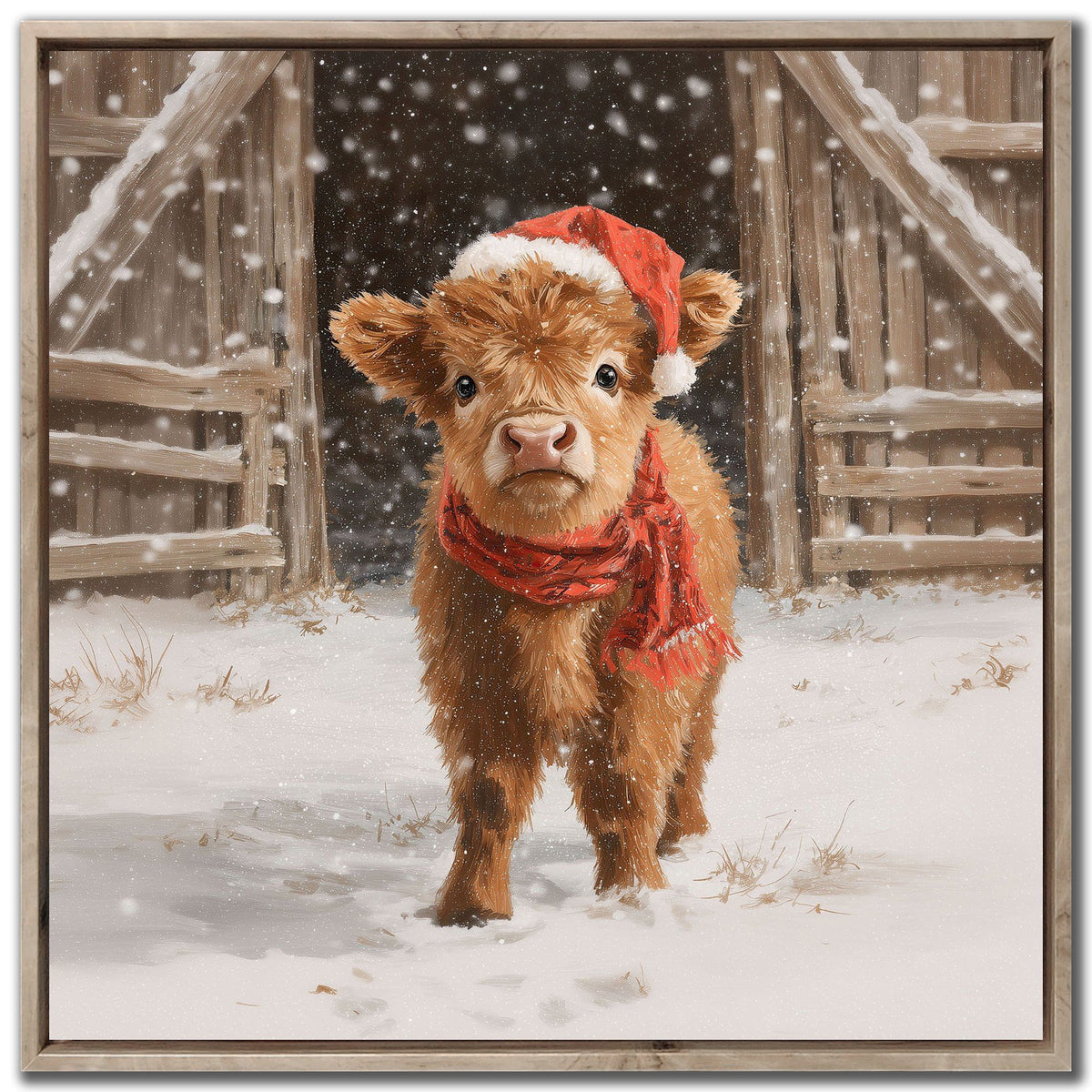 Highland Calf in Santa Hat