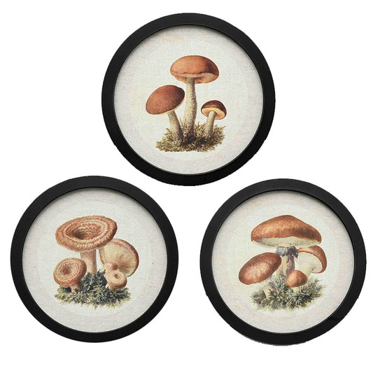 Assorted Mushroom Decor