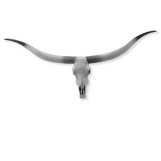 White Longhorn Cow Skull - Wall Art
