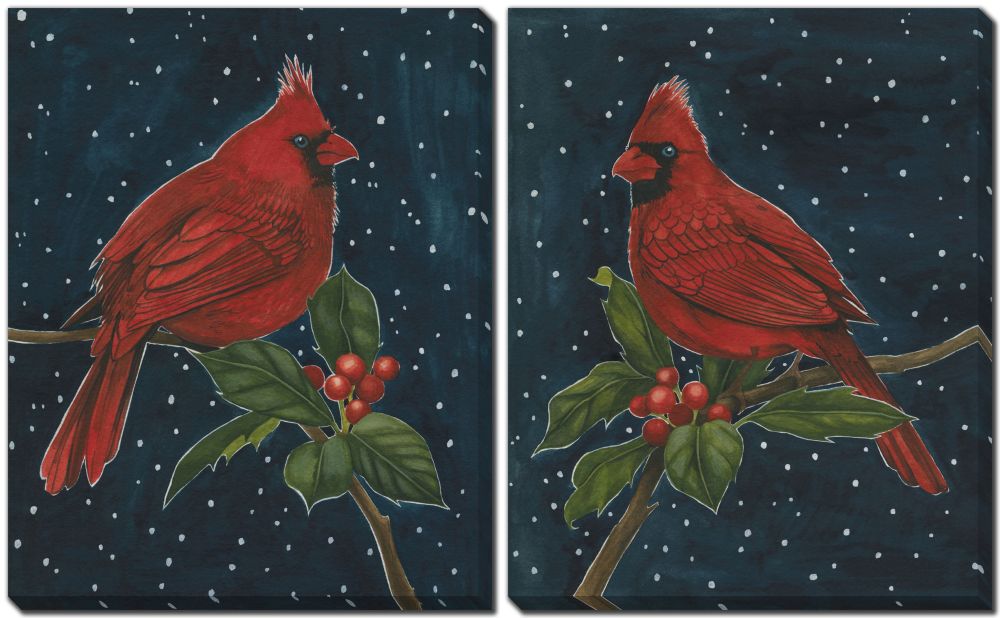 Midnight Cardinal