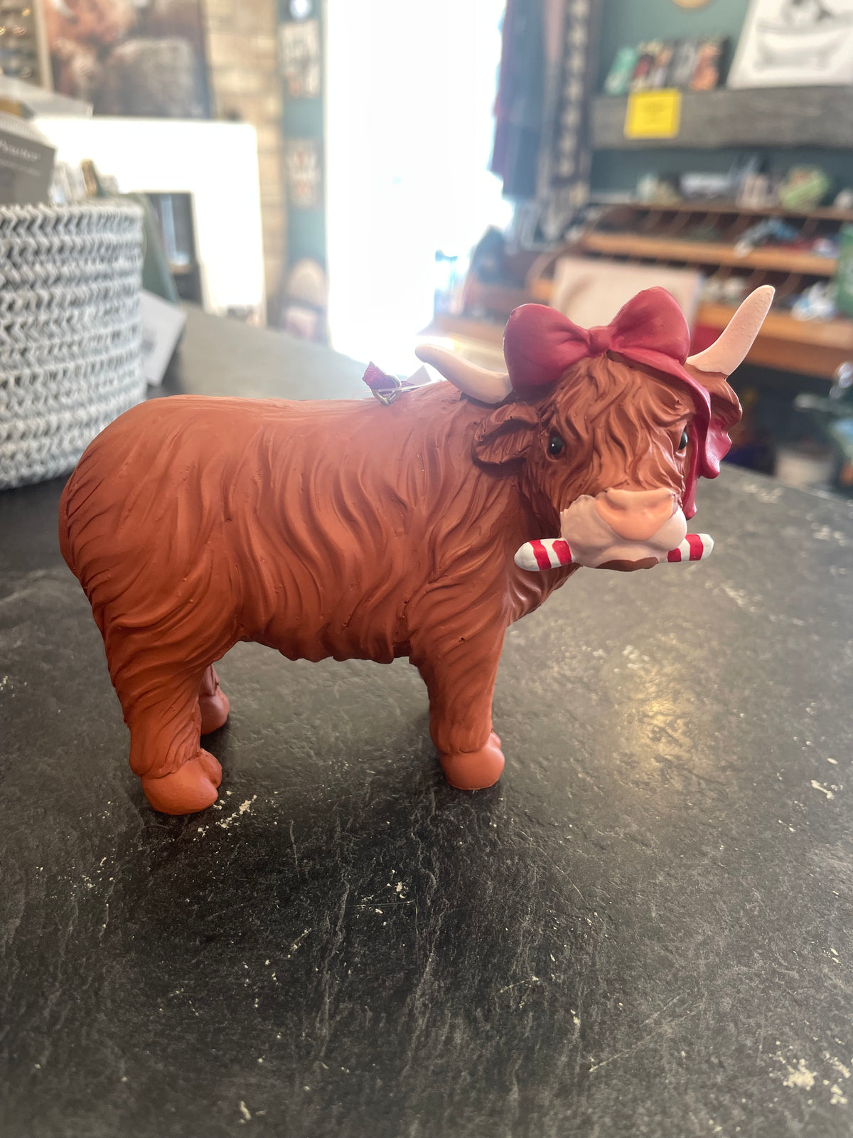 Festive Highland Cow Orn-5"L